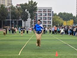 多伦多蓝鸟队宣布 2025 赛季主场场均入场人数突破 4 万人